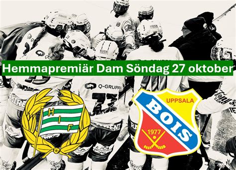 hammarby spelschema